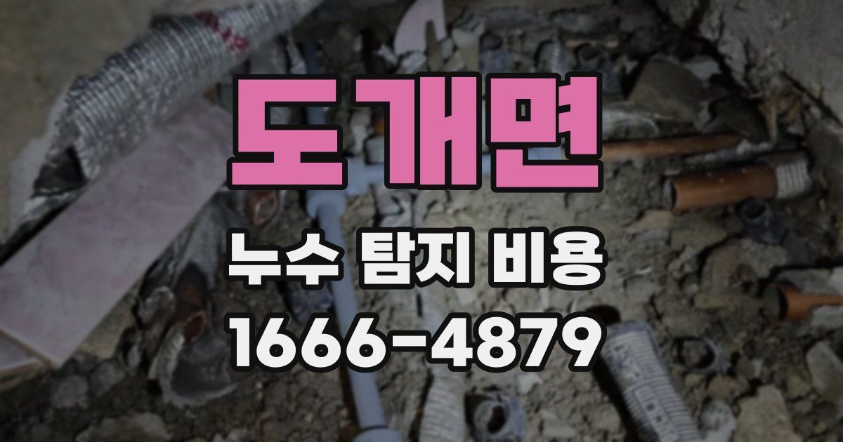 도개면 누수 탐지 비용