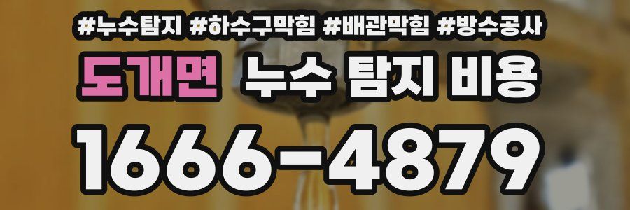도개면 누수 탐지 비용