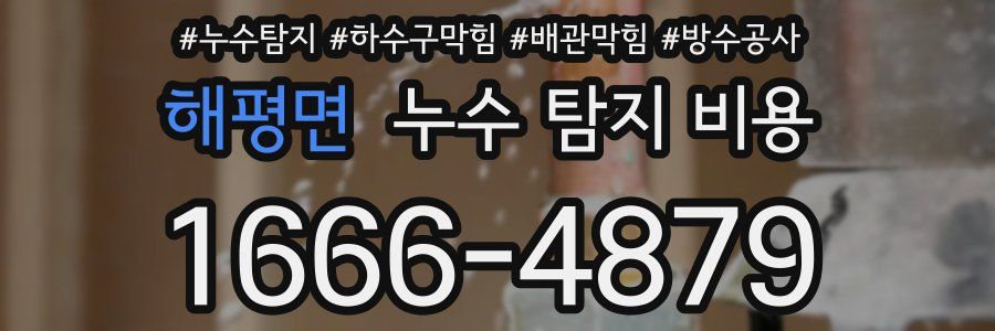 해평면 누수 탐지 비용
