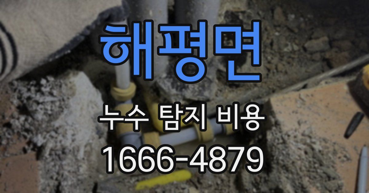 해평면 누수 탐지 비용