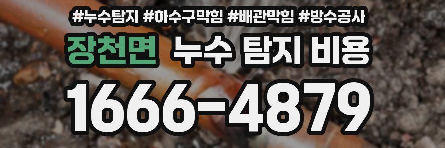장천면 누수 탐지 비용