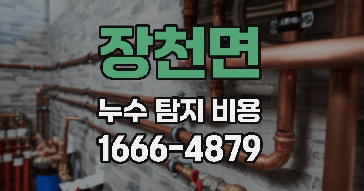 장천면 누수 탐지 비용