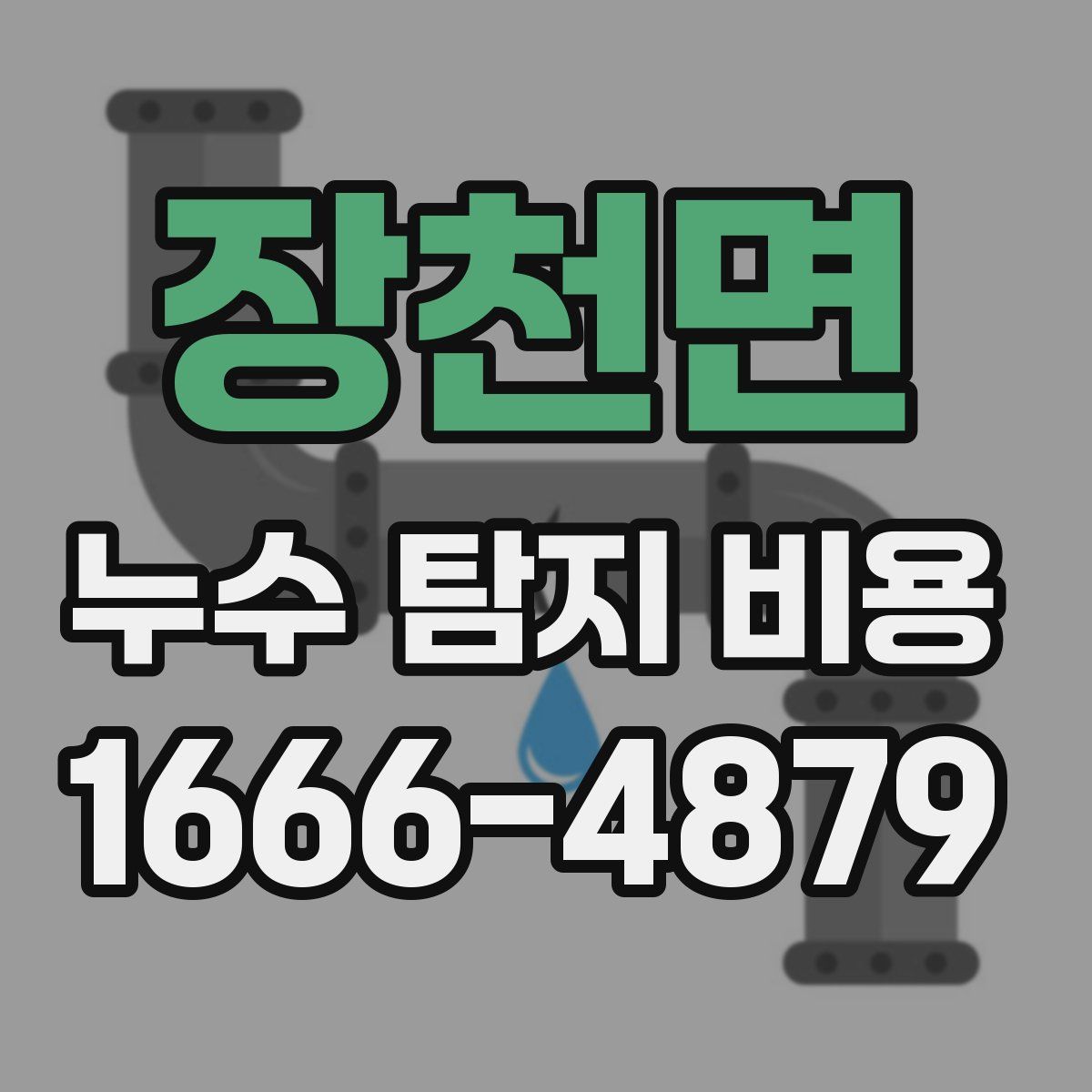 장천면 누수 탐지 비용
