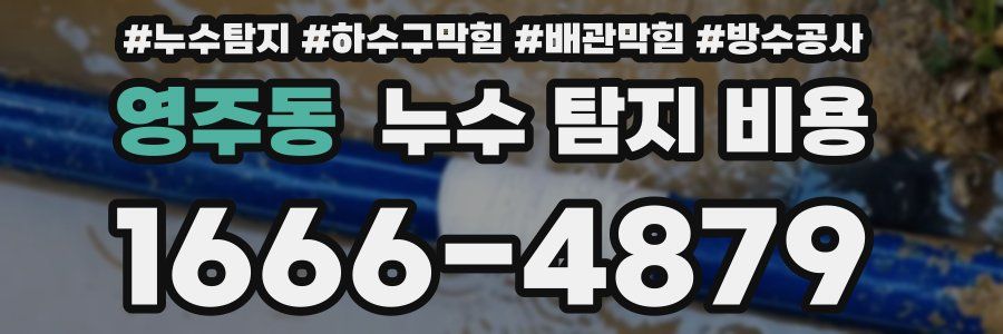 영주동 누수 탐지 비용