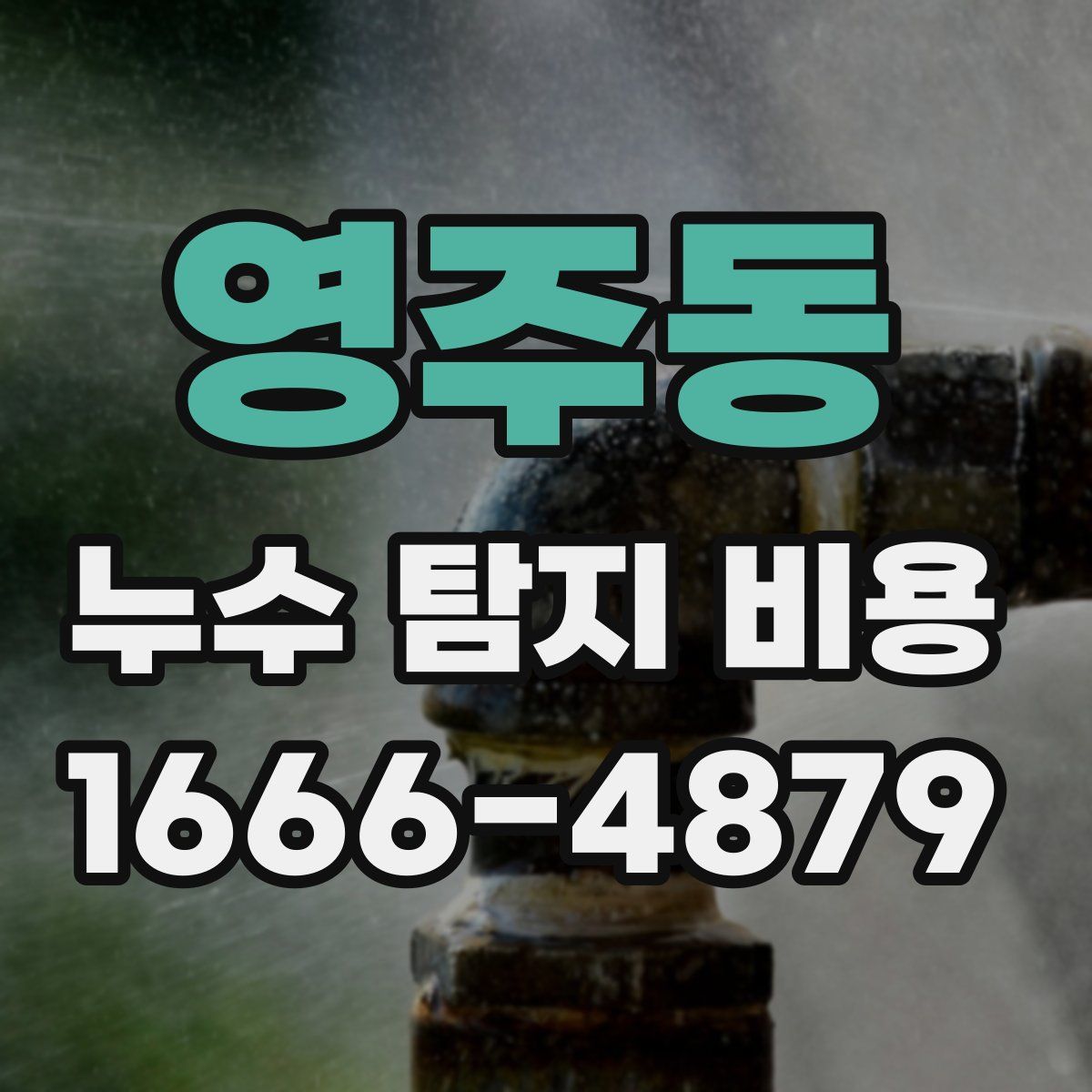 영주동 누수 탐지 비용