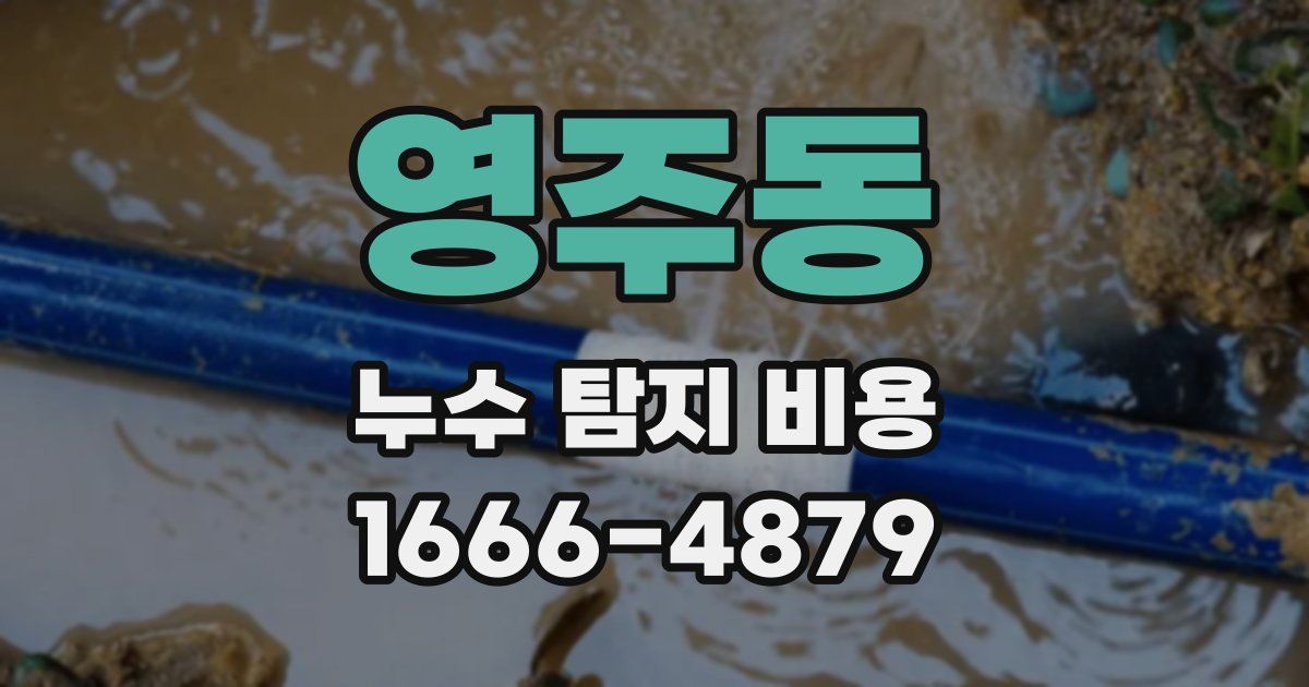 영주동 누수 탐지 비용