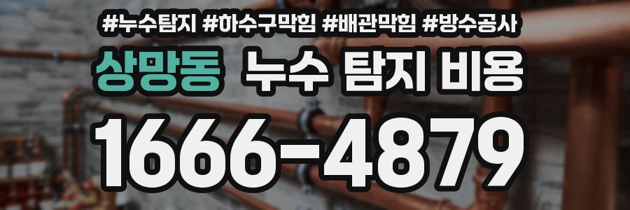 상망동 누수 탐지 비용