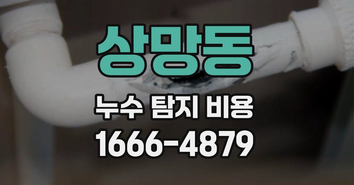 상망동 누수 탐지 비용