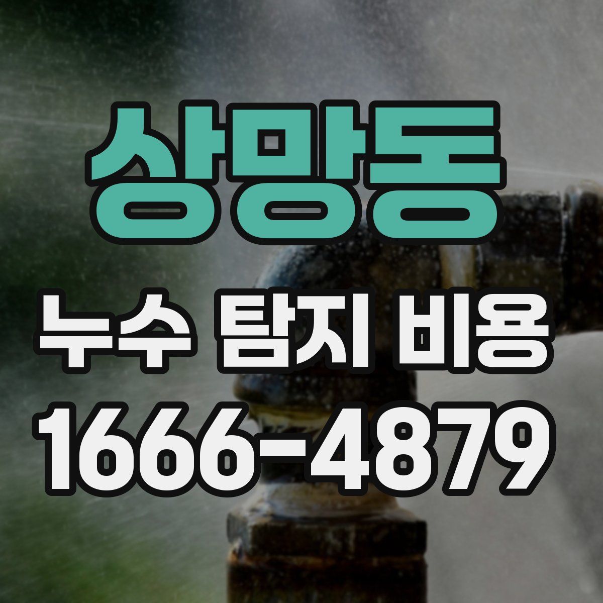 상망동 누수 탐지 비용