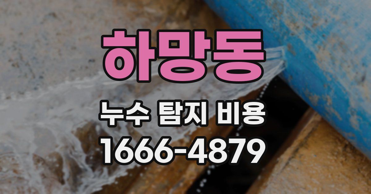하망동 누수 탐지 비용