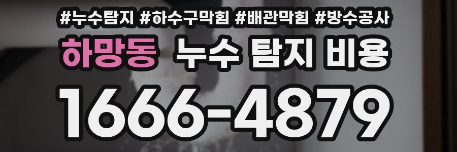 하망동 누수 탐지 비용