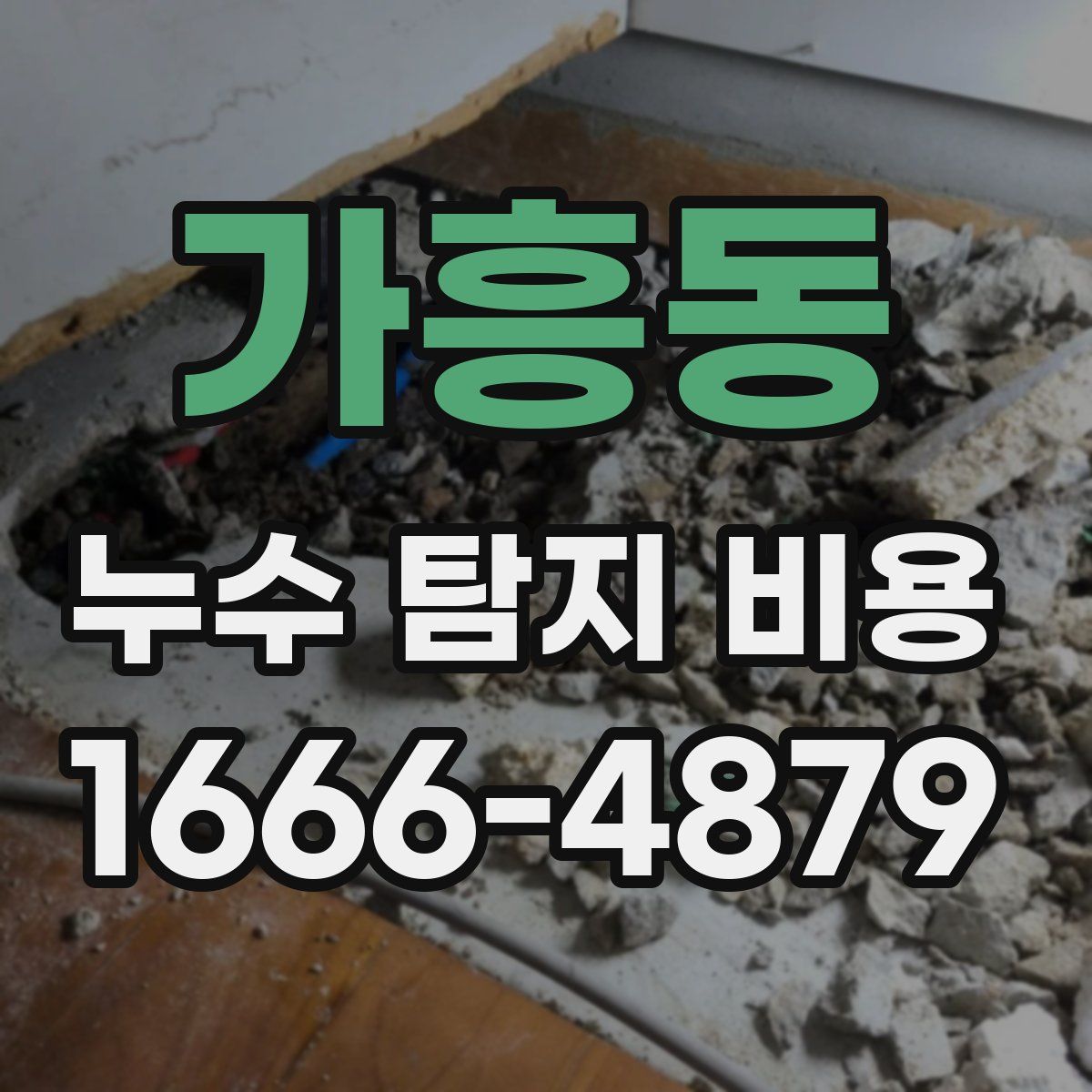 가흥동 누수 탐지 비용