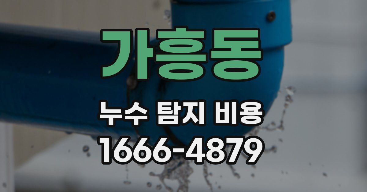 가흥동 누수 탐지 비용