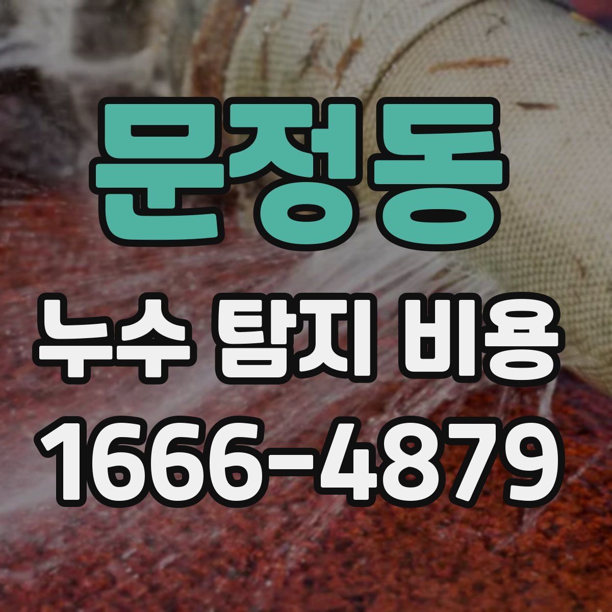 문정동 누수 탐지 비용