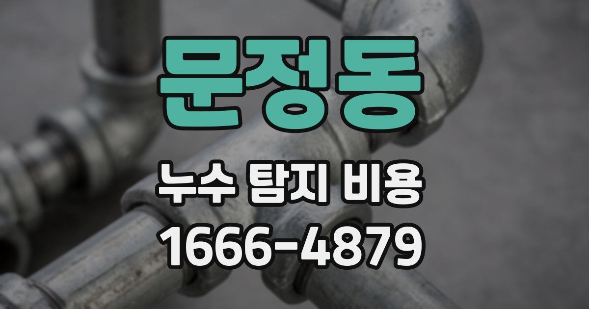 문정동 누수 탐지 비용