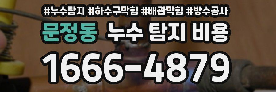 문정동 누수 탐지 비용