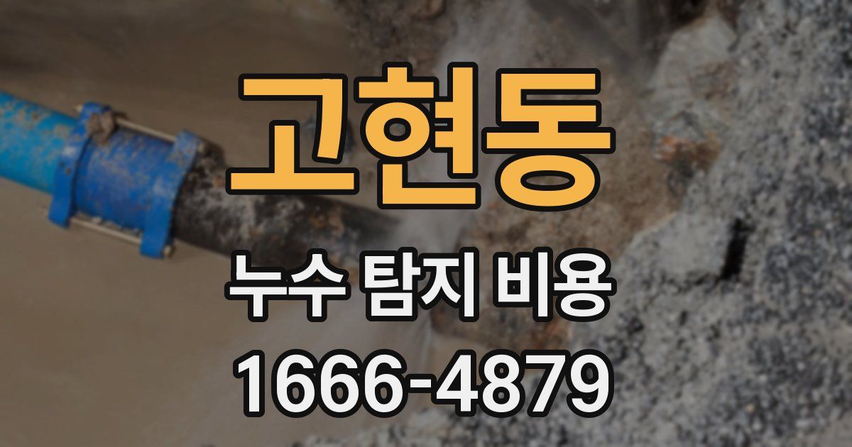 고현동 누수 탐지 비용