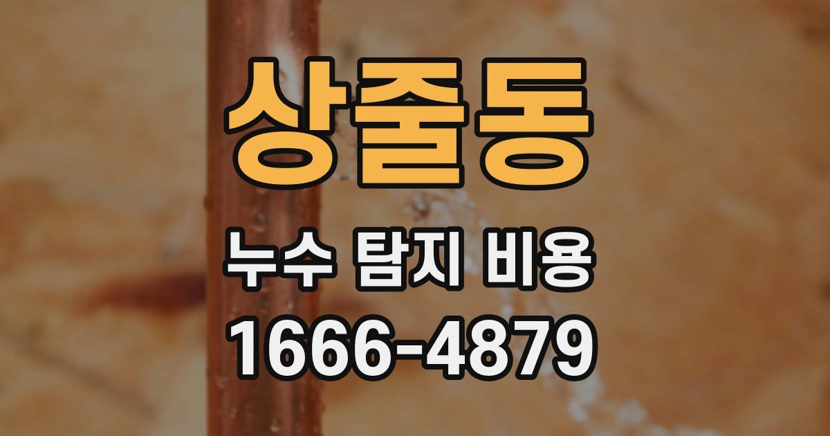 상줄동 누수 탐지 비용