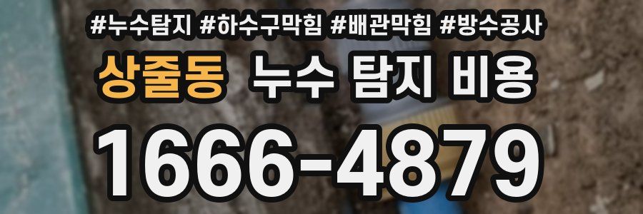 상줄동 누수 탐지 비용