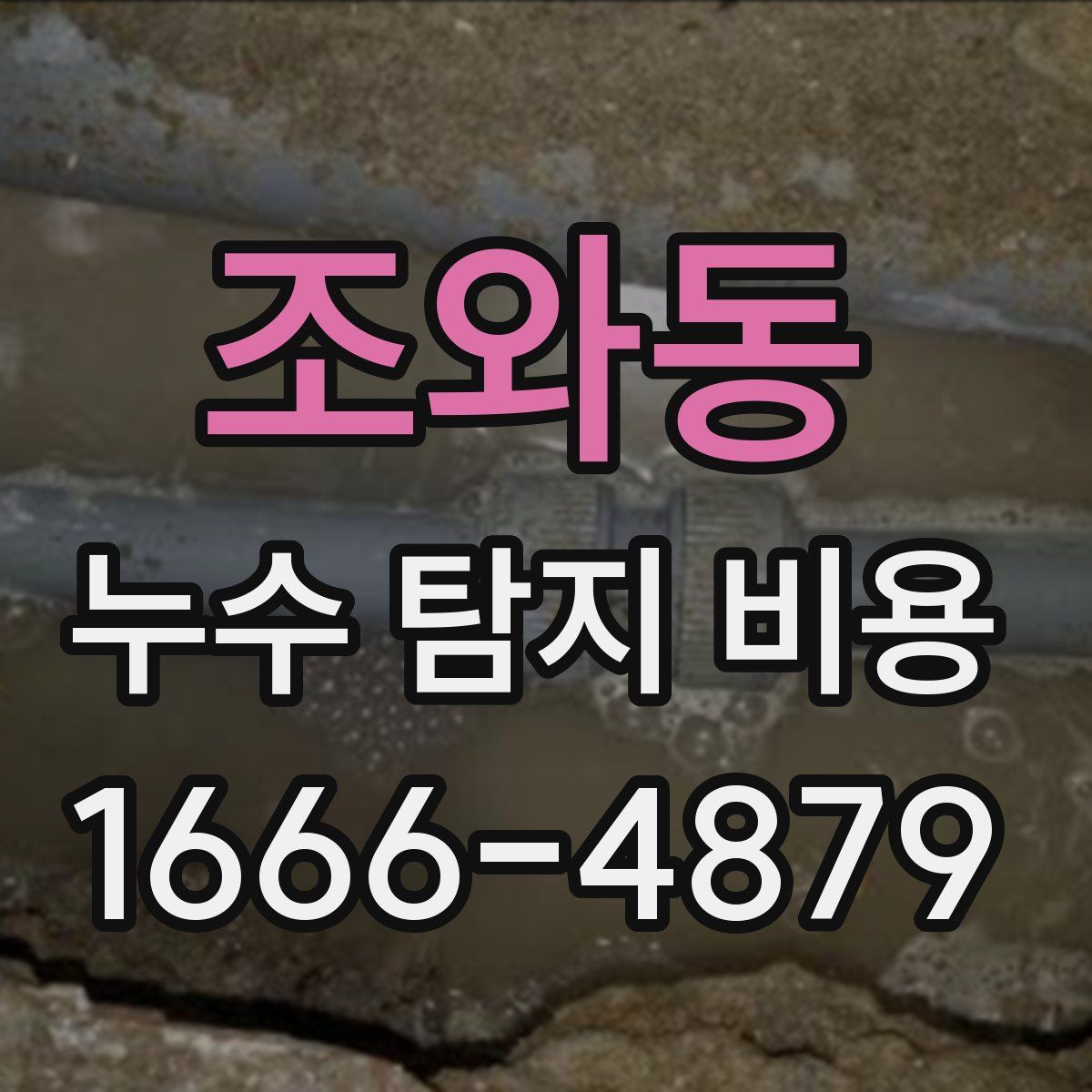 조와동 누수 탐지 비용