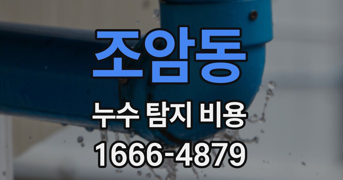 조암동 누수 탐지 비용