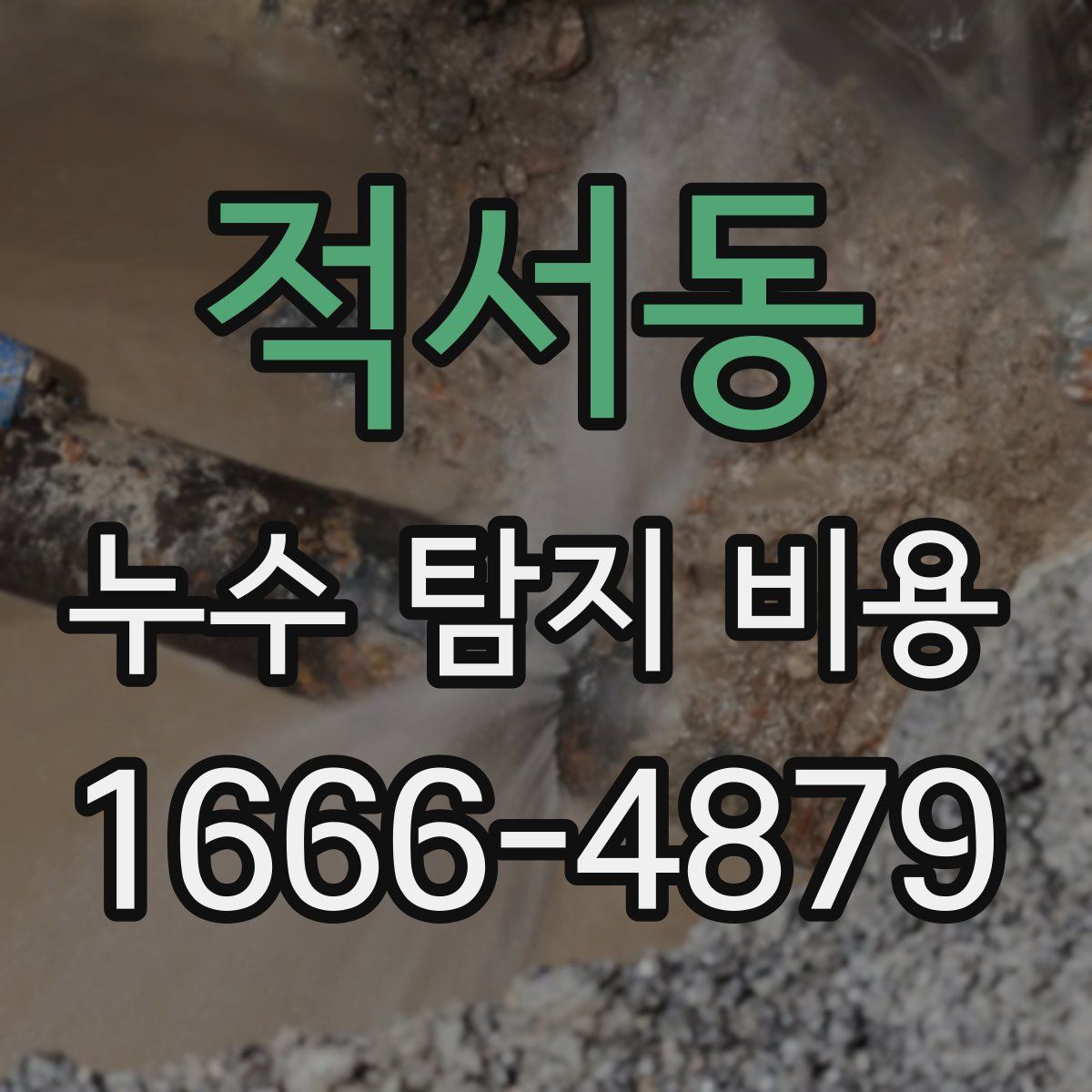 적서동 누수 탐지 비용