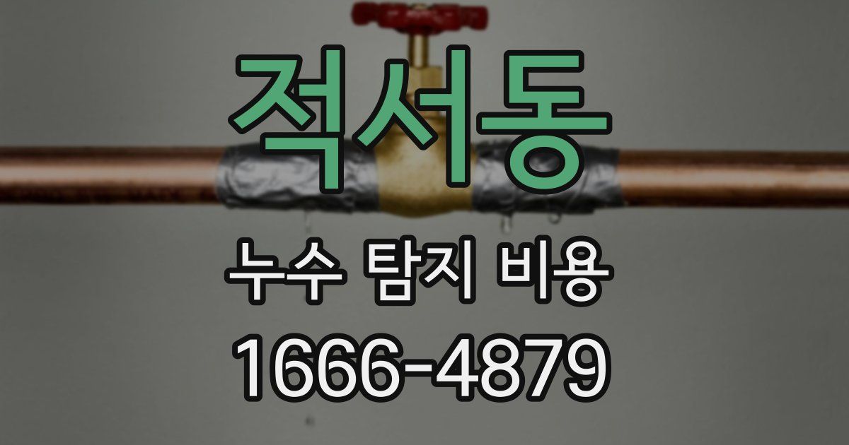 적서동 누수 탐지 비용