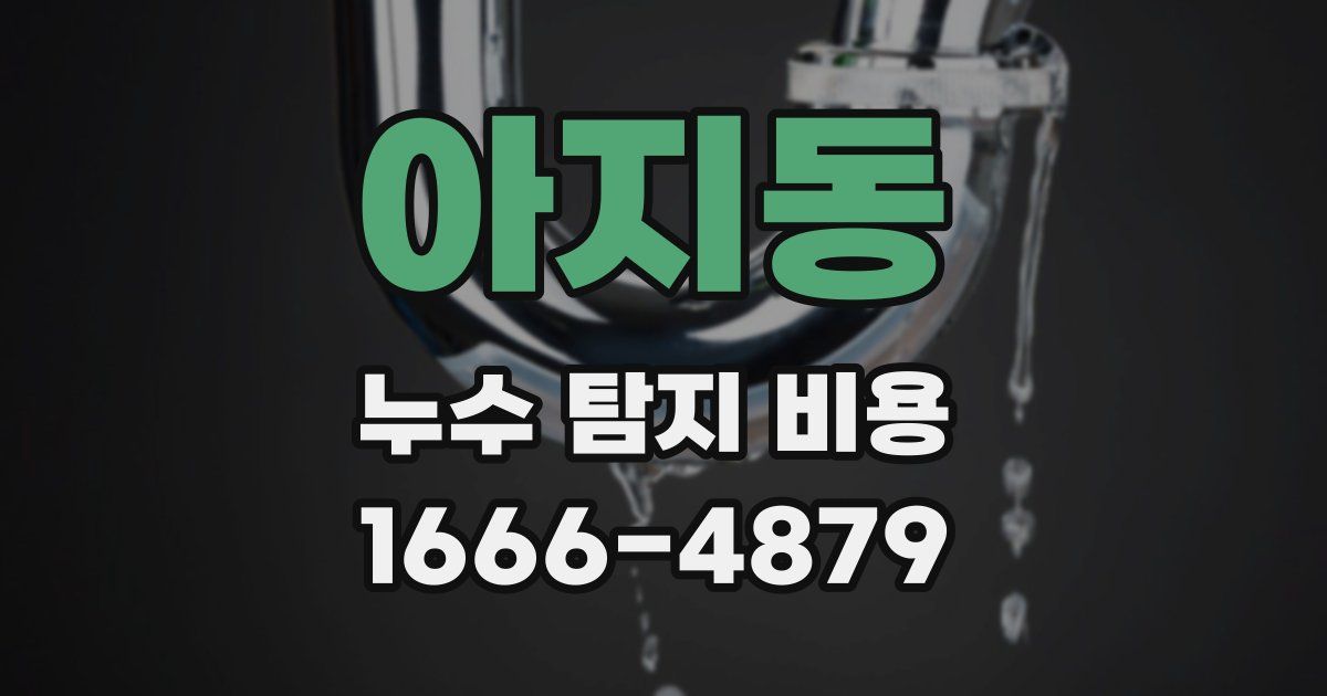 아지동 누수 탐지 비용