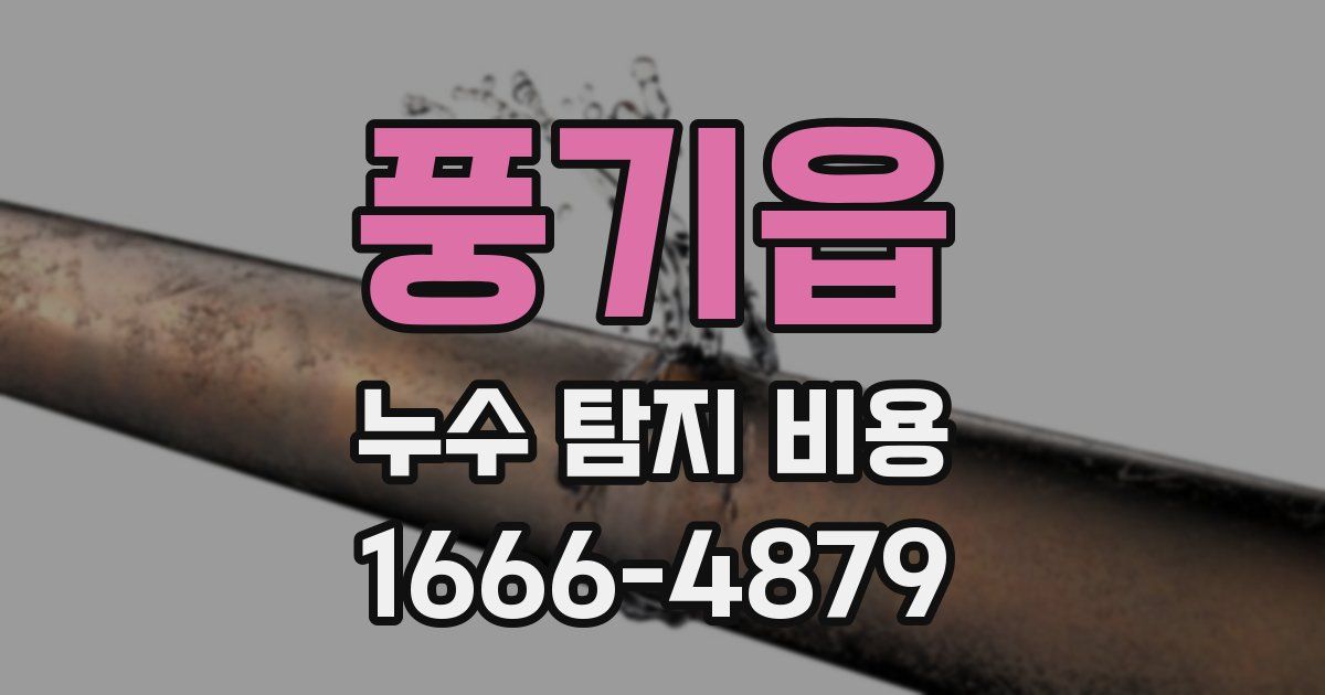 풍기읍 누수 탐지 비용