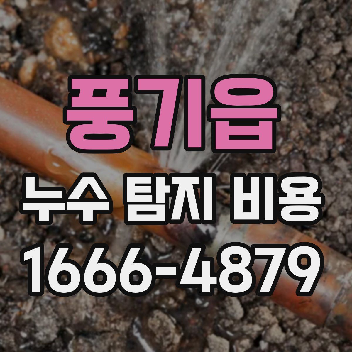 풍기읍 누수 탐지 비용