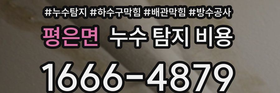 평은면 누수 탐지 비용