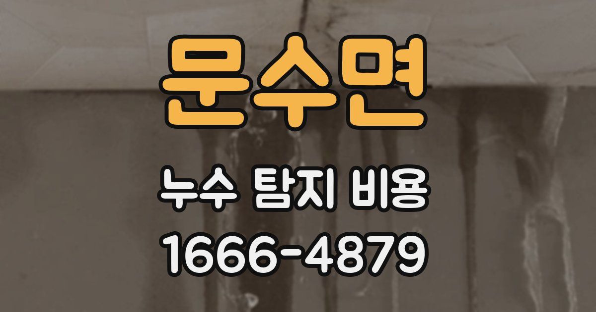 문수면 누수 탐지 비용