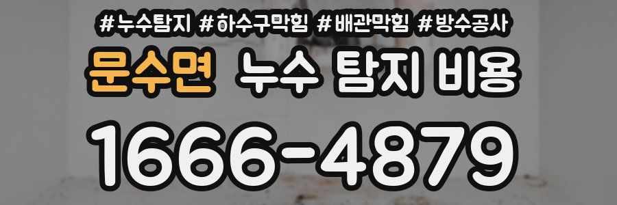 문수면 누수 탐지 비용