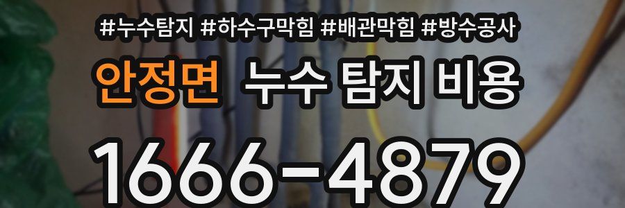 안정면 누수 탐지 비용