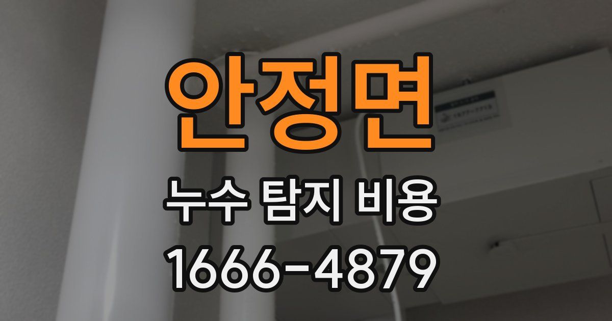 안정면 누수 탐지 비용