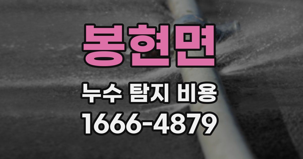 봉현면 누수 탐지 비용