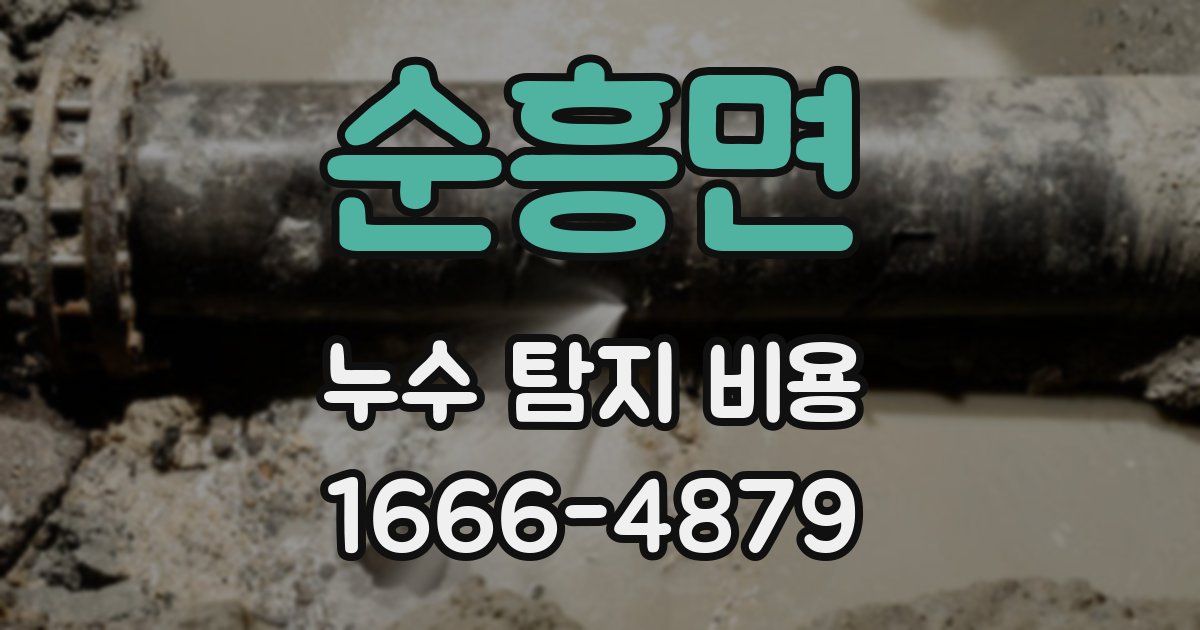 순흥면 누수 탐지 비용