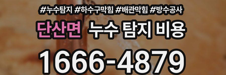 단산면 누수 탐지 비용