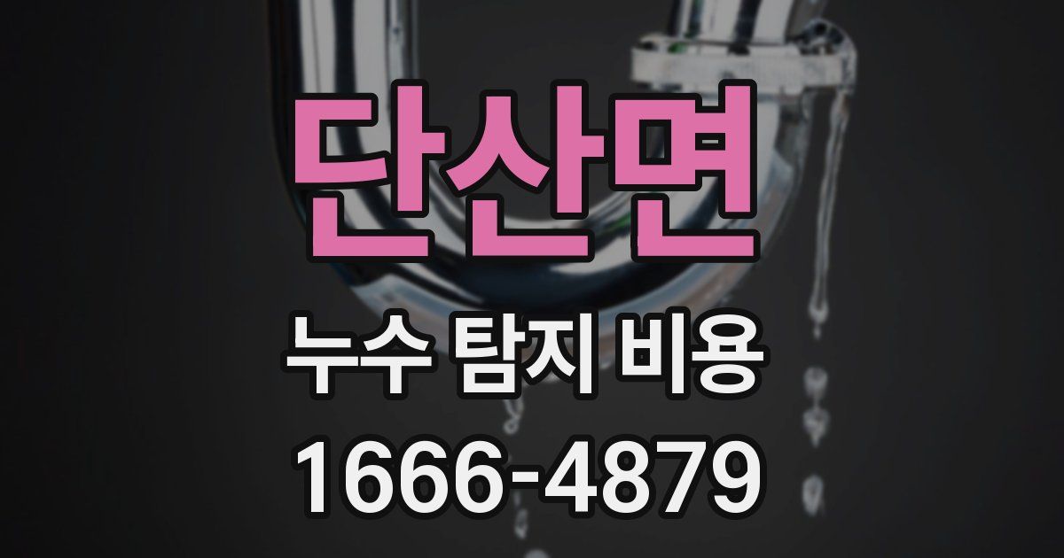 단산면 누수 탐지 비용