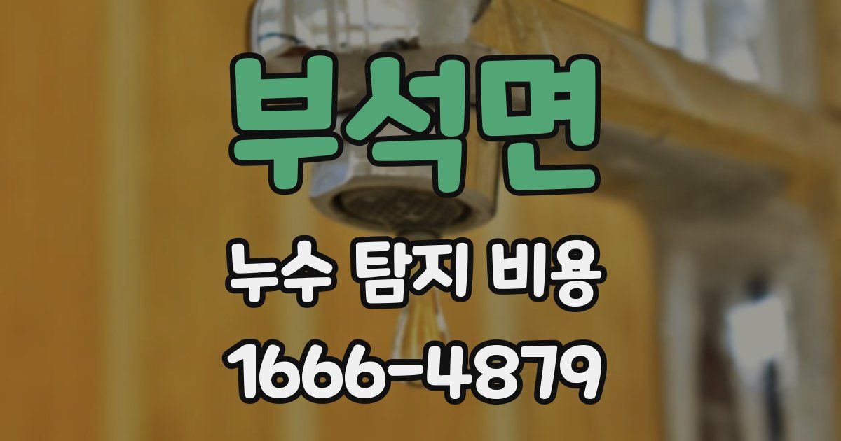 부석면 누수 탐지 비용
