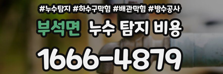 부석면 누수 탐지 비용