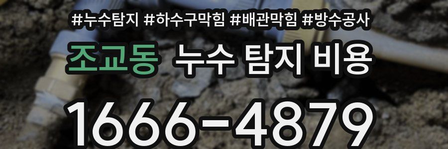 조교동 누수 탐지 비용
