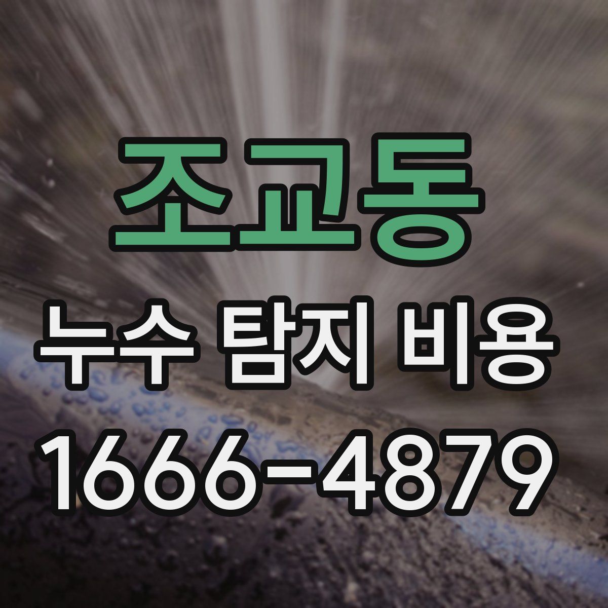 조교동 누수 탐지 비용