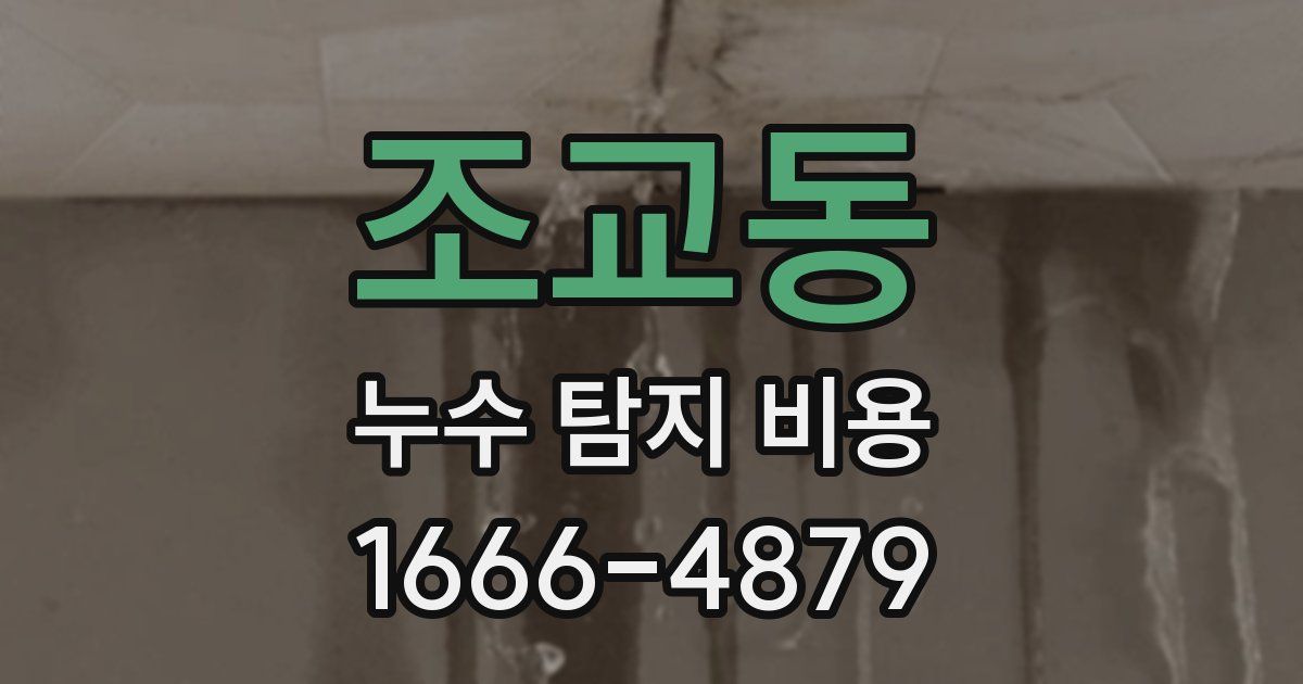 조교동 누수 탐지 비용