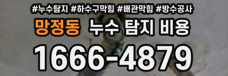 망정동 누수 탐지 비용