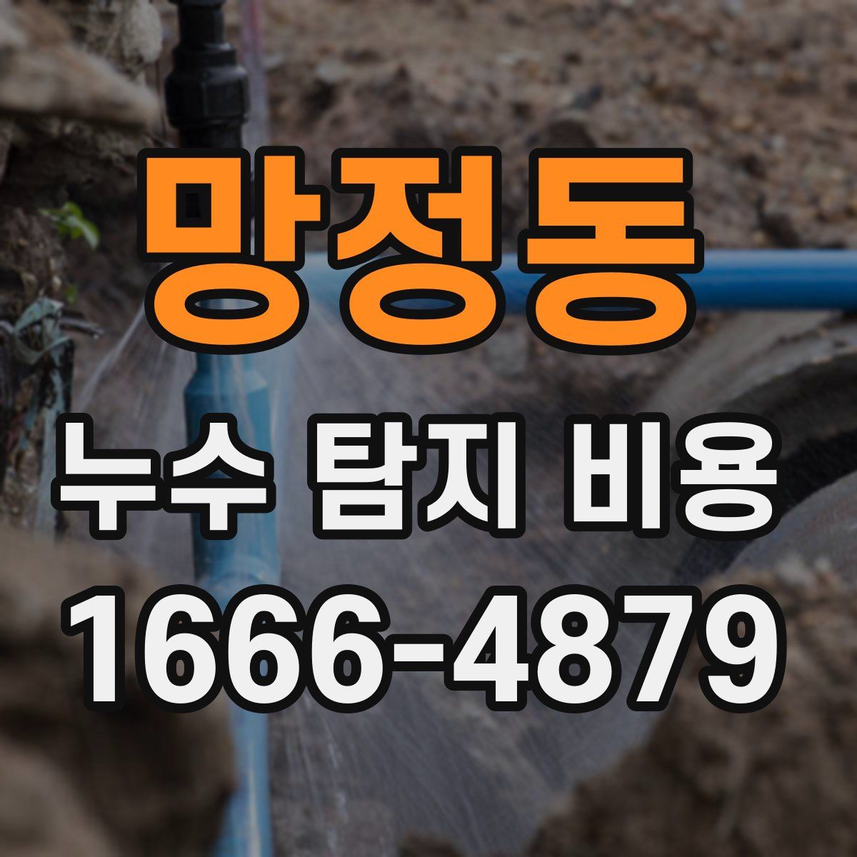 망정동 누수 탐지 비용