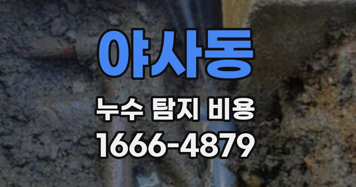 야사동 누수 탐지 비용