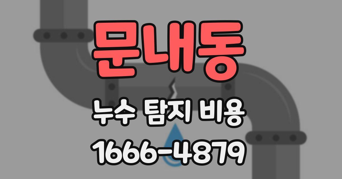 문내동 누수 탐지 비용