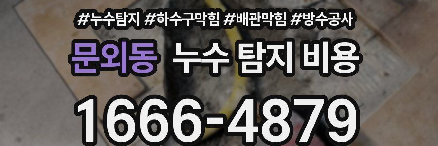 문외동 누수 탐지 비용
