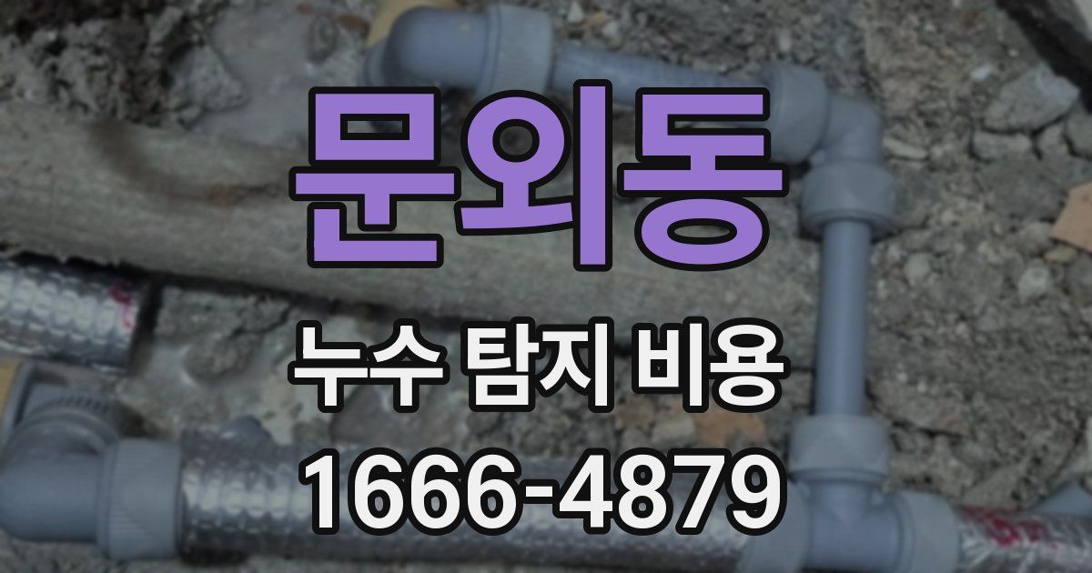 문외동 누수 탐지 비용
